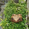 【ｵｳﾞｼﾞｪ】蛙