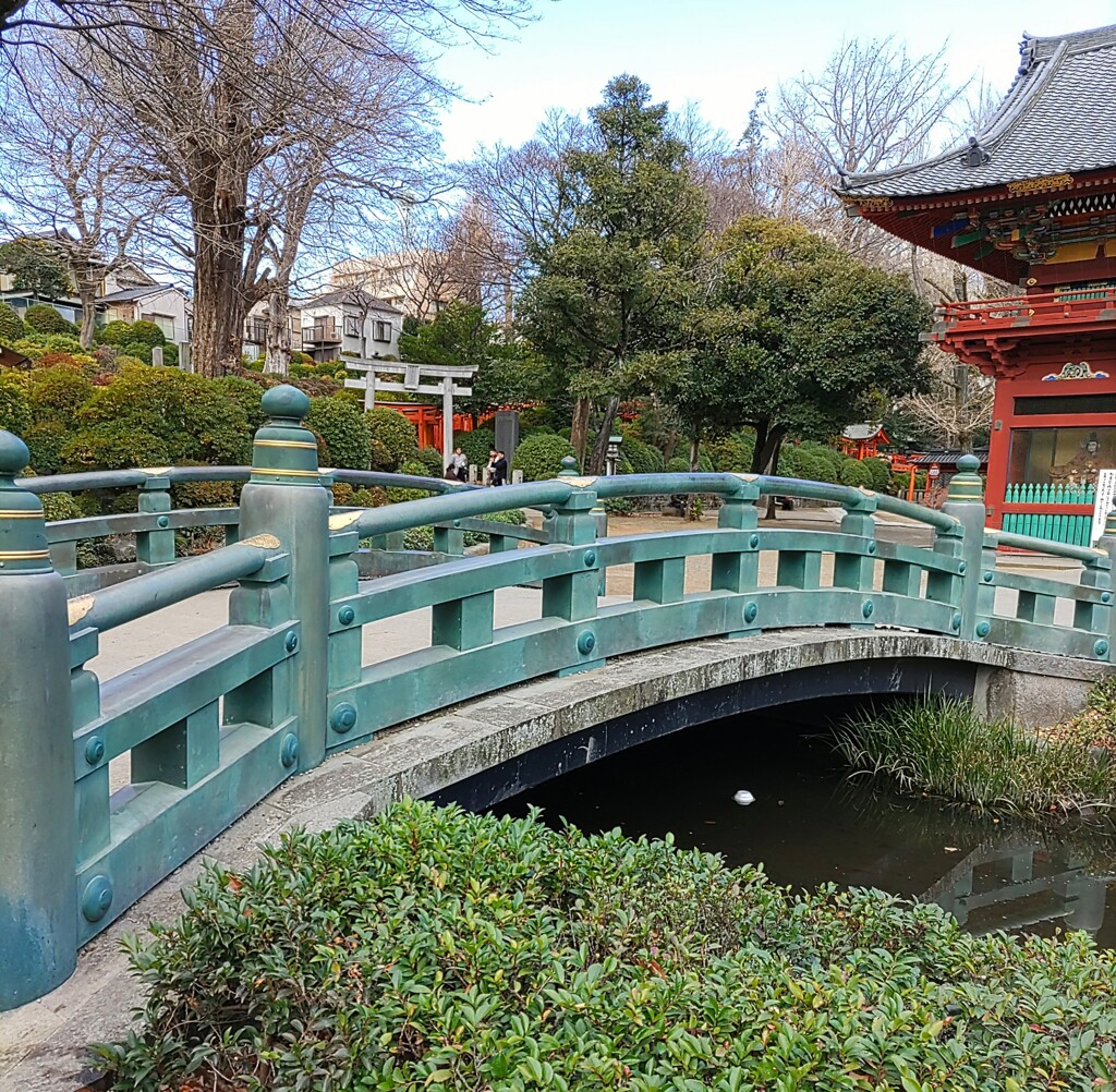 [渡]神橋