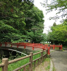 渡[橋]