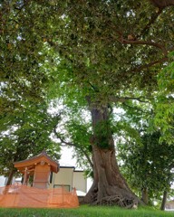 [稲荷神社]
