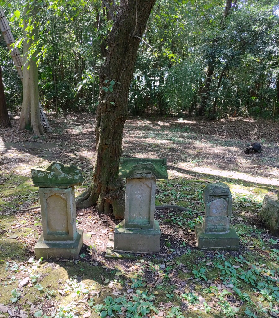 【建】祠