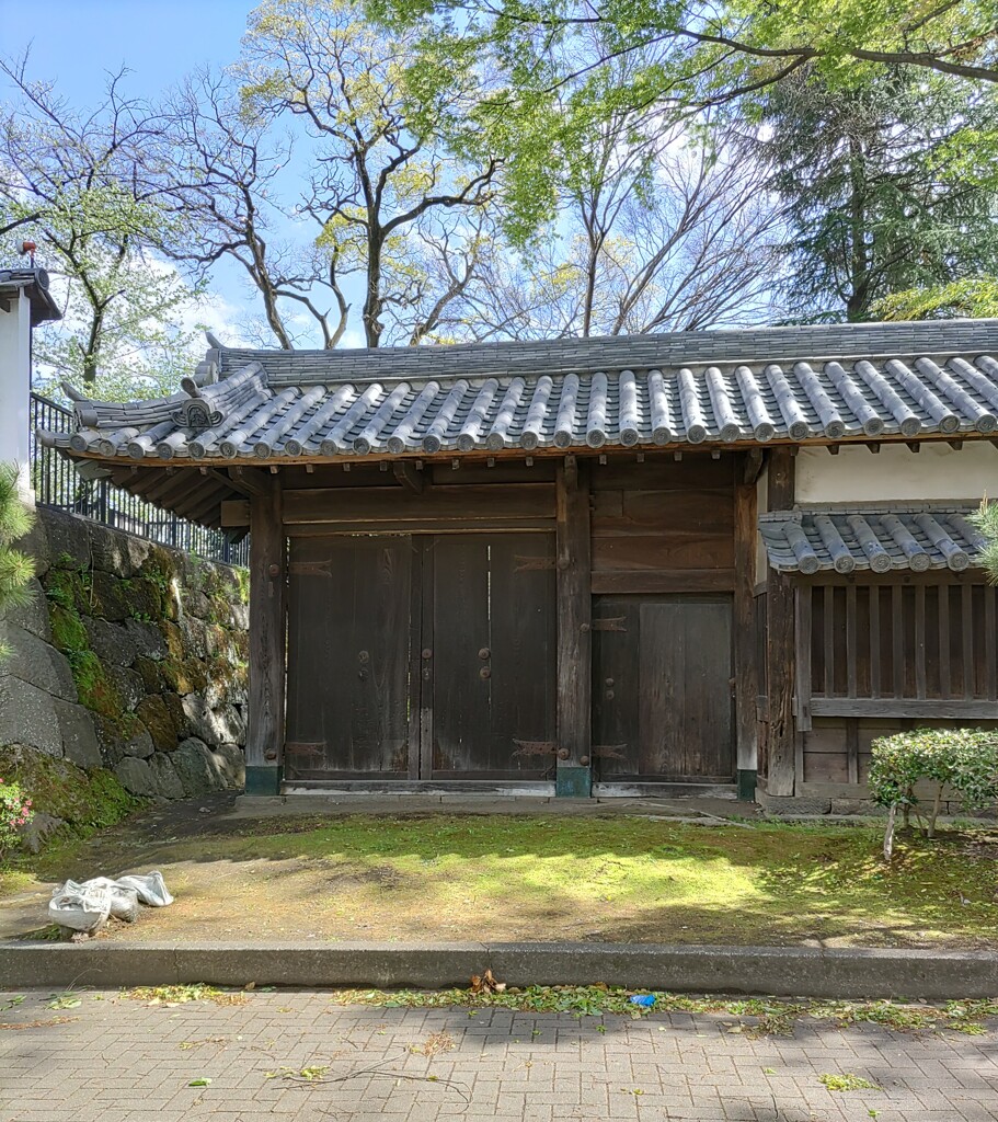 通[門]