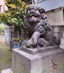 [狛犬]右