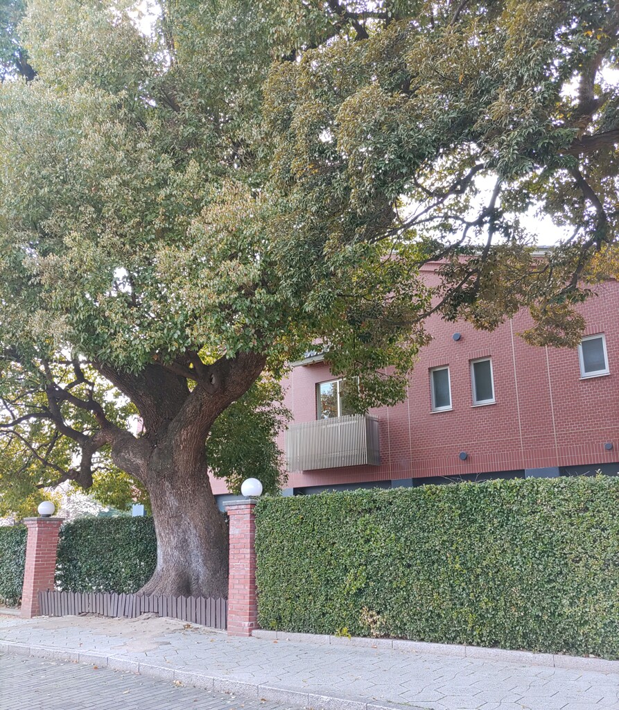 【建】学