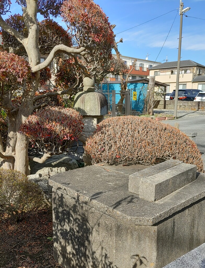 【水】井戸