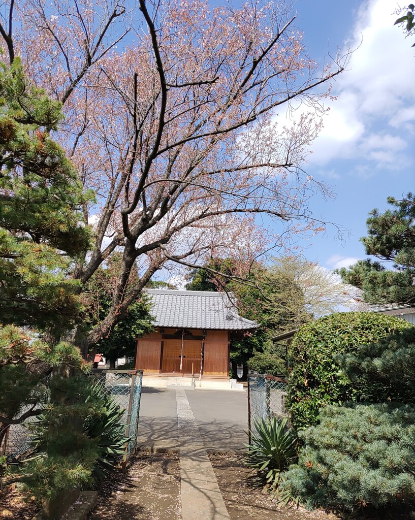 [神社]武國