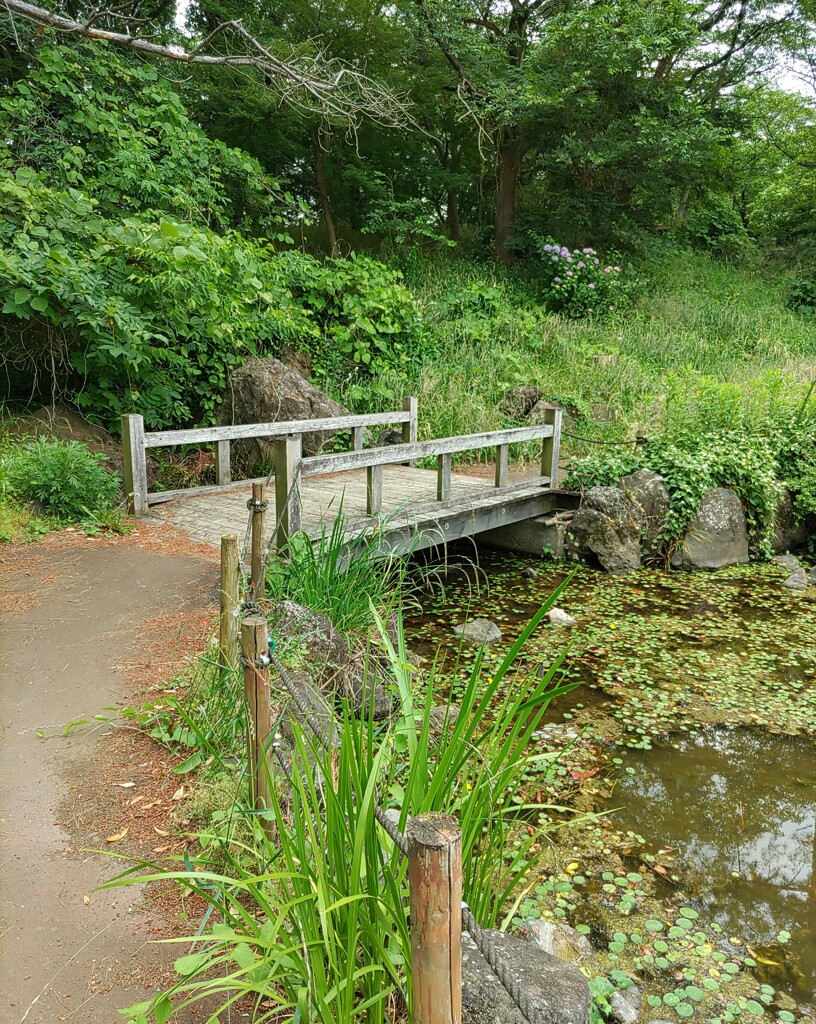 [渡]木橋