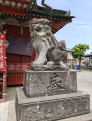 [狛犬]右
