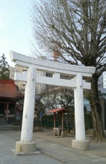 『氷川神社』