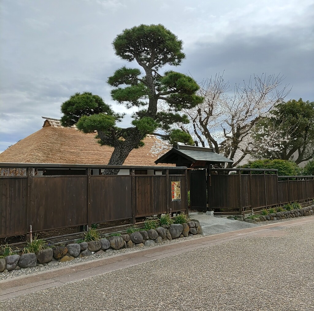 【建】武家