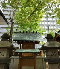 [天祖神社]