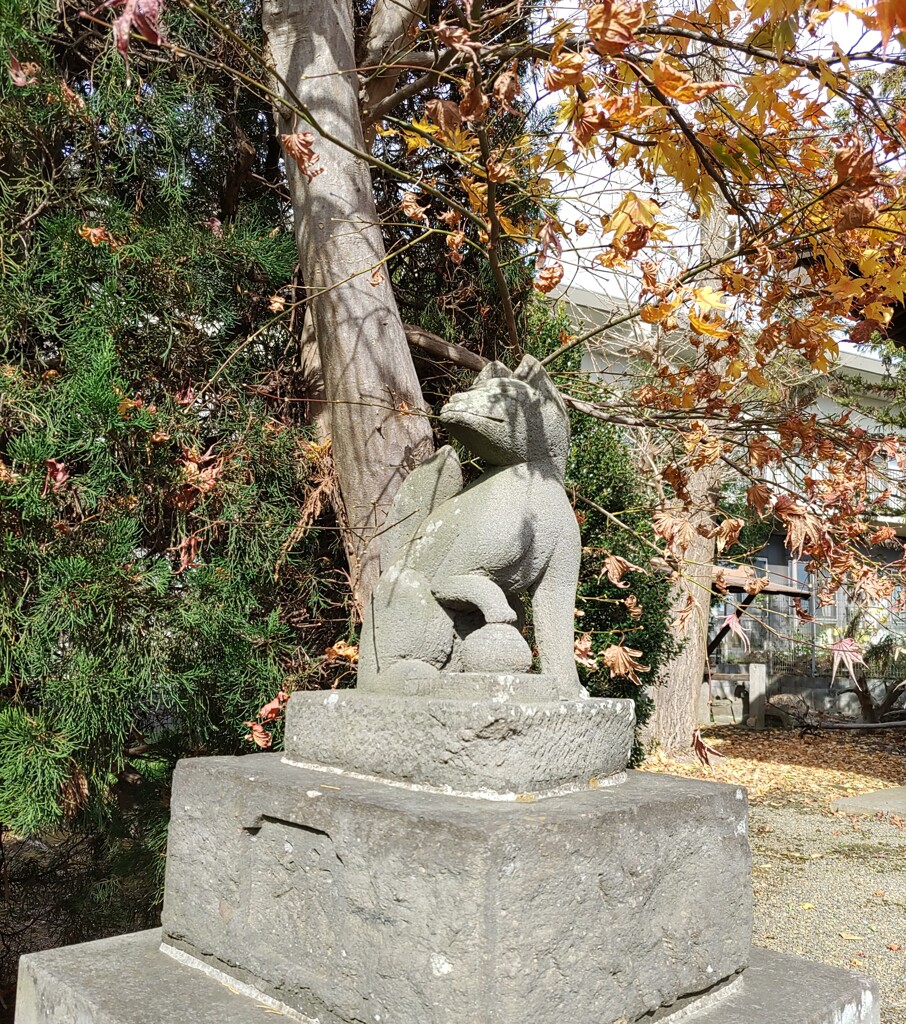 [神使]狐