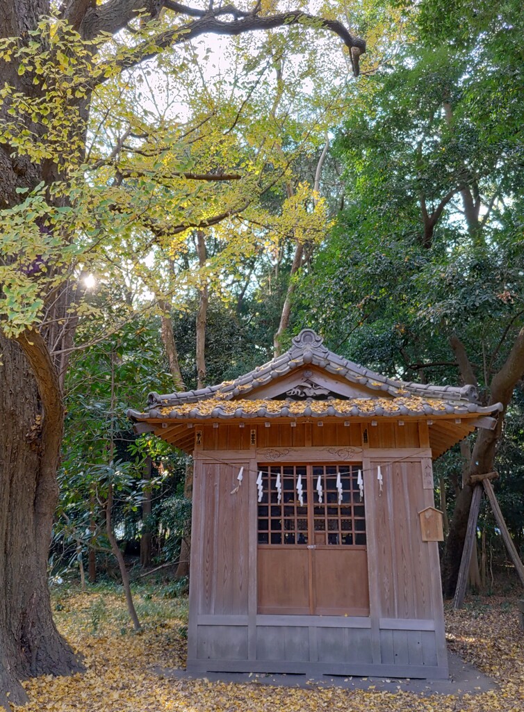 [神社]八坂