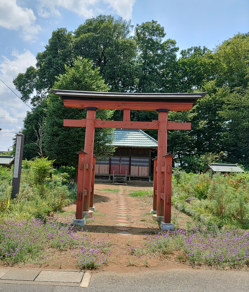 [愛宕神社]