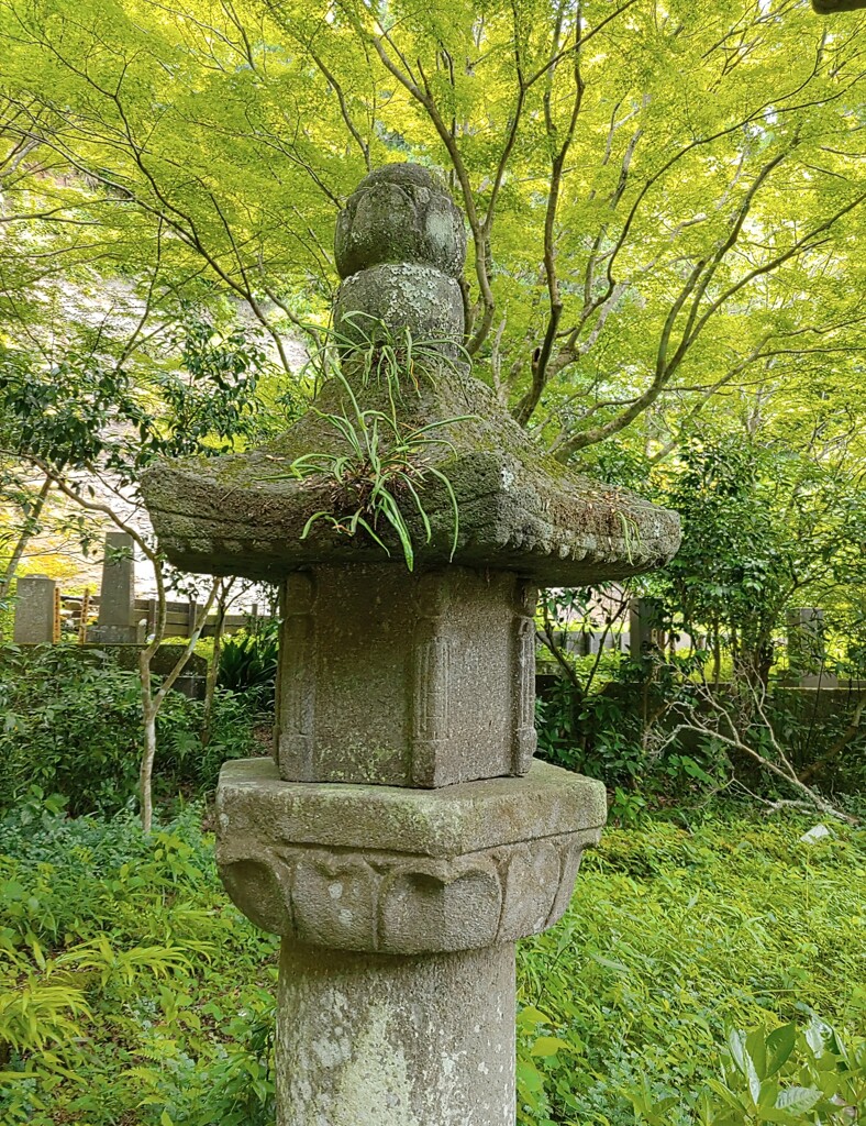 [地蔵]
