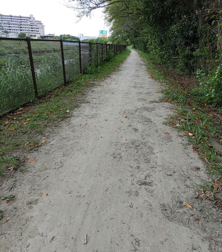 [径風景]