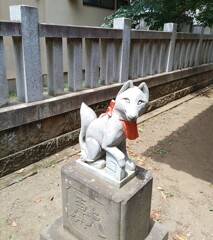 [狐神使]