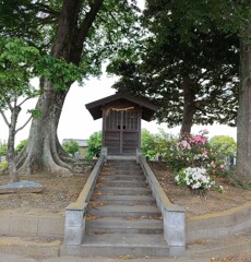 [愛宕神社]