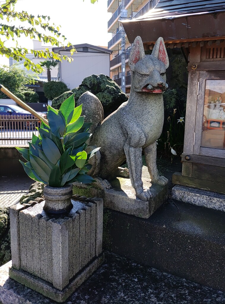 [神使]狐