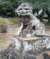 [狛犬]右