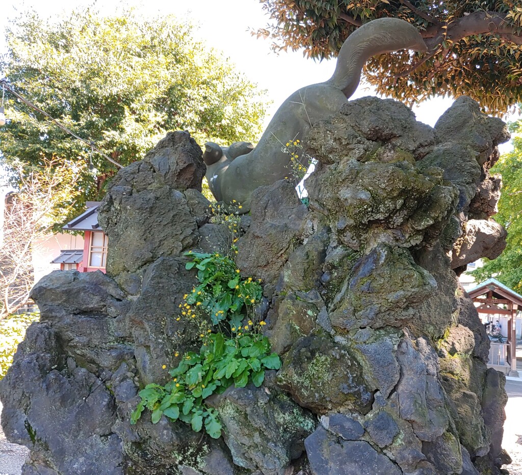 ｢ｵﾆﾀﾋﾞﾗｺ｣