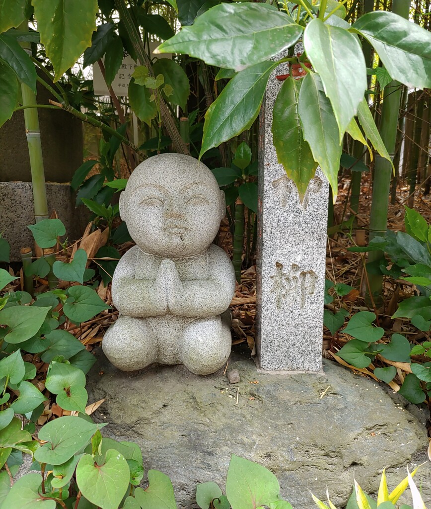 [ｵｳﾞｼﾞｪ]