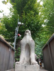 [狛犬]左