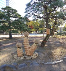 《風物詩》