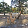 《風物詩》