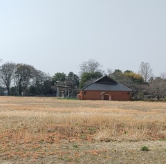 [蔵]