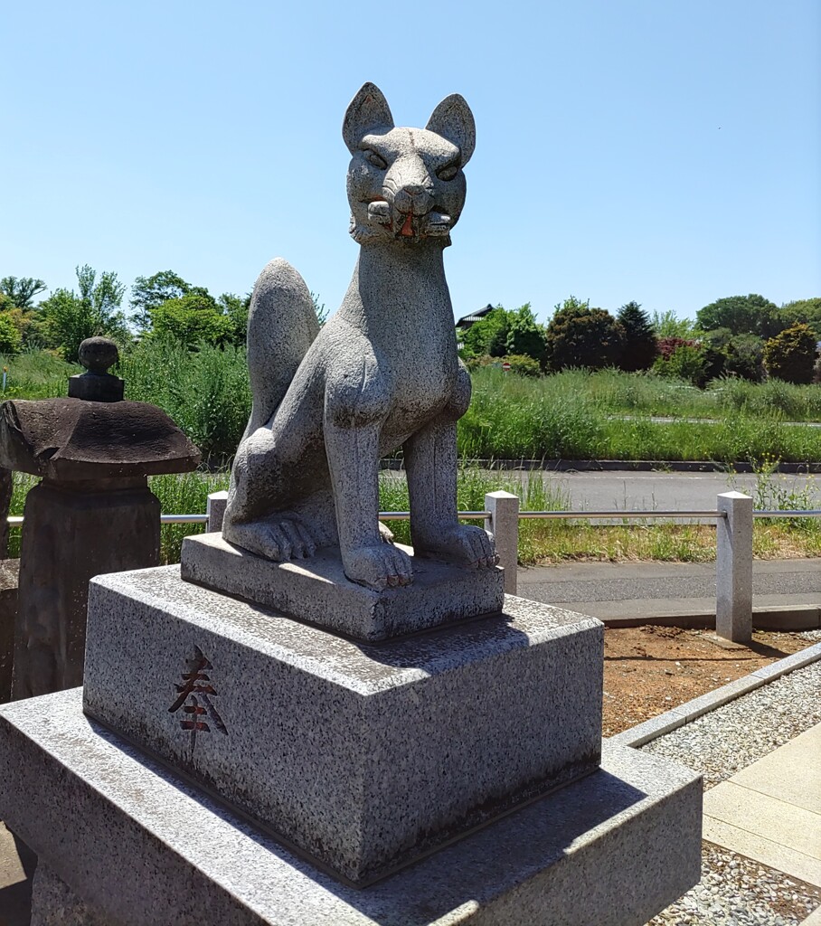 [神使]狐