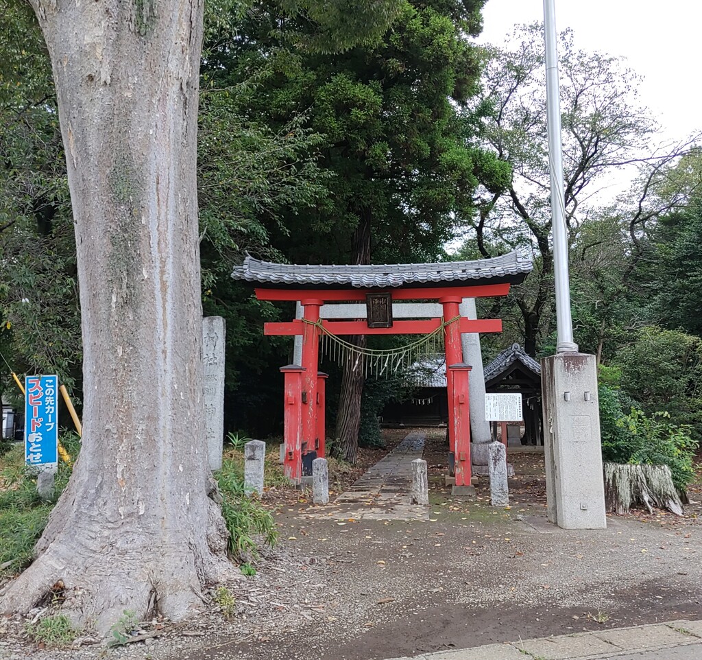 [神社]氷川諏訪