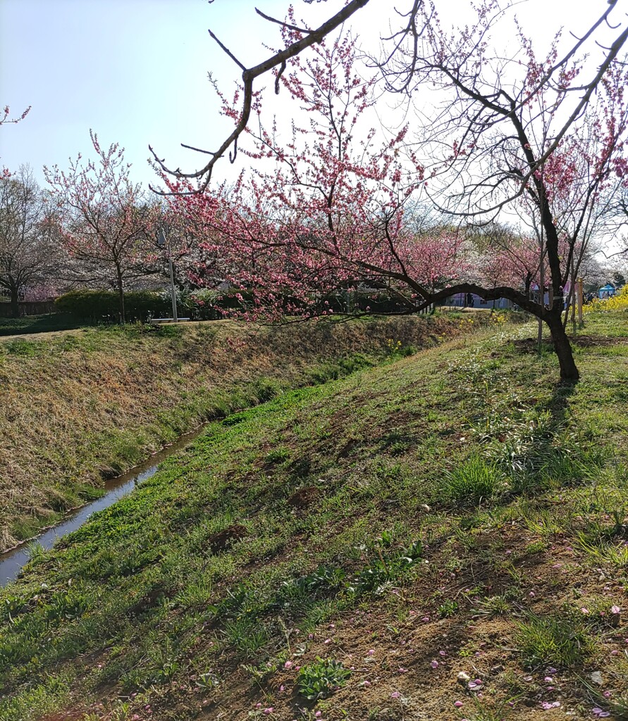 『水路』