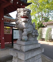 [狛犬]右
