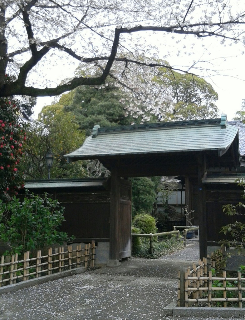 通[寺門]