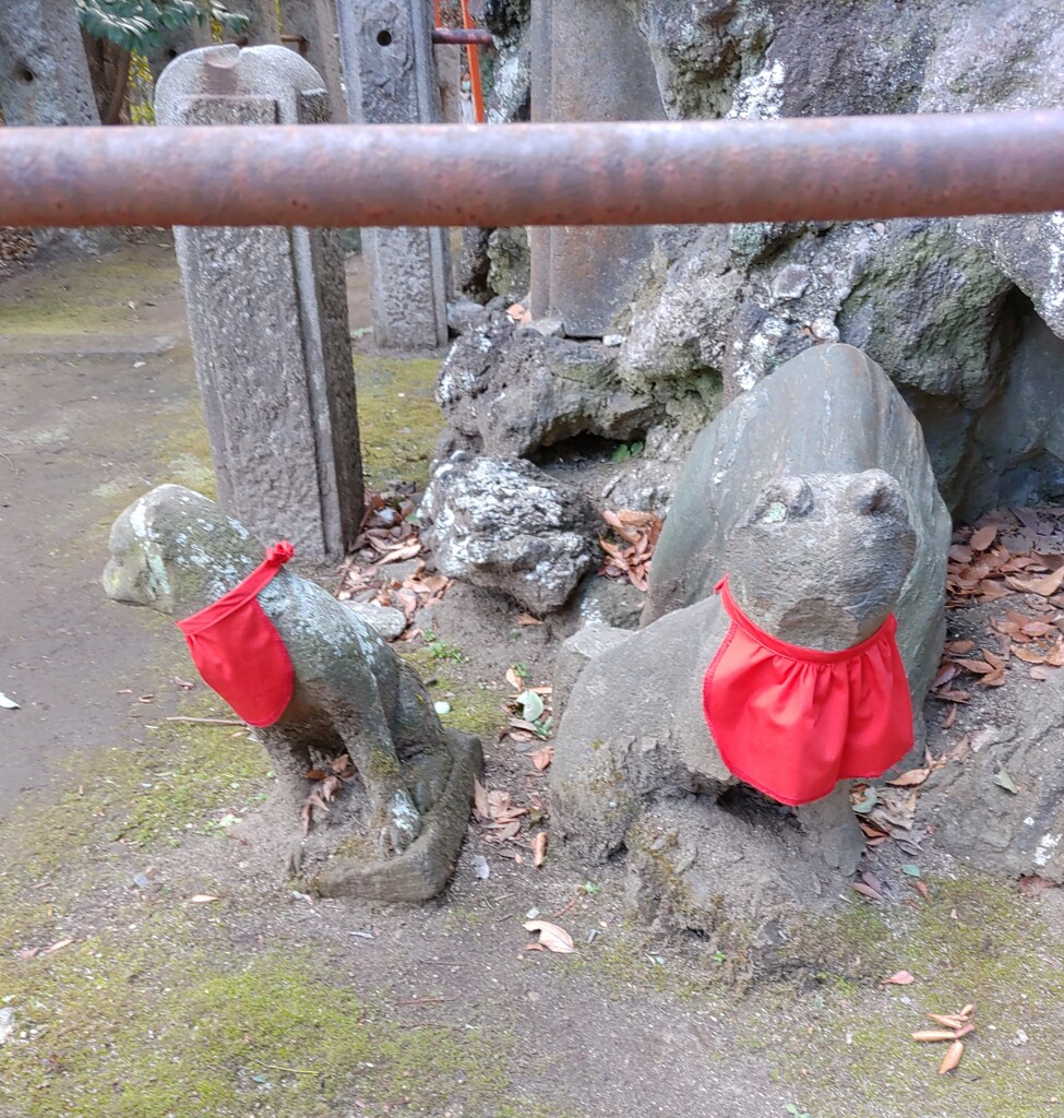 [神使]狐