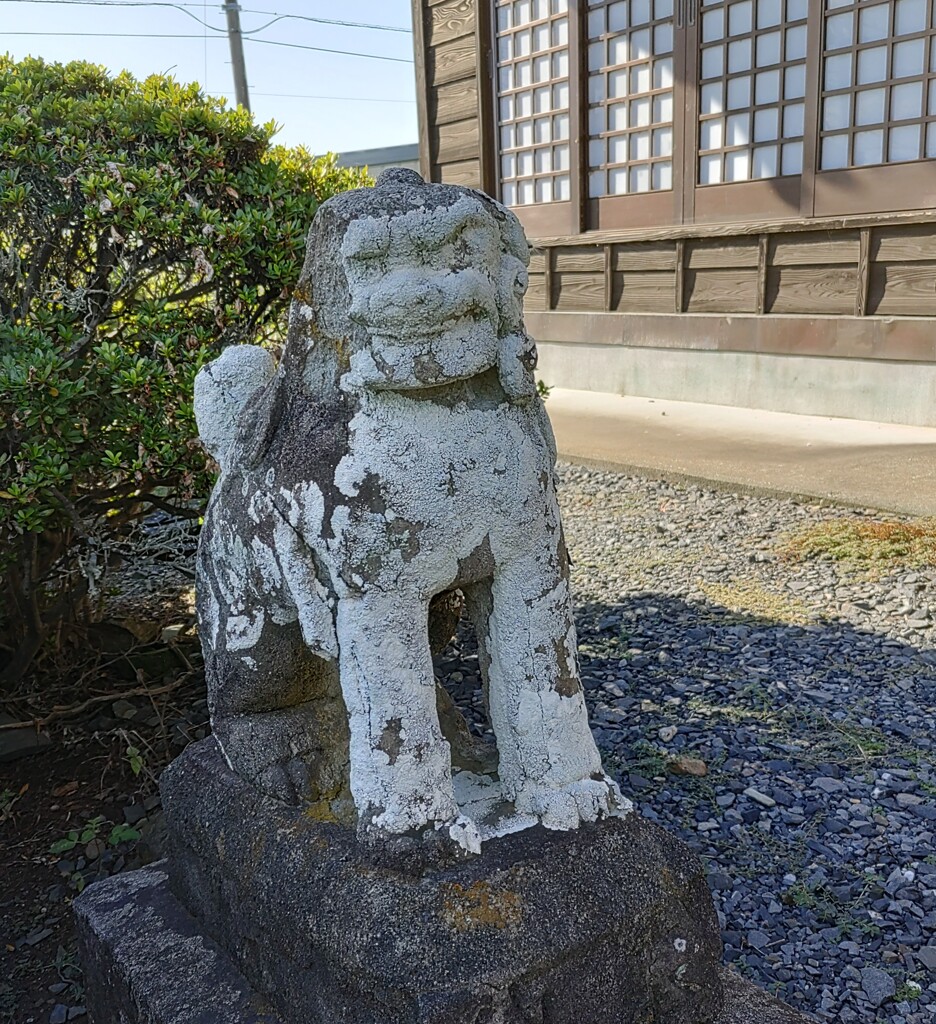 [狛犬]左
