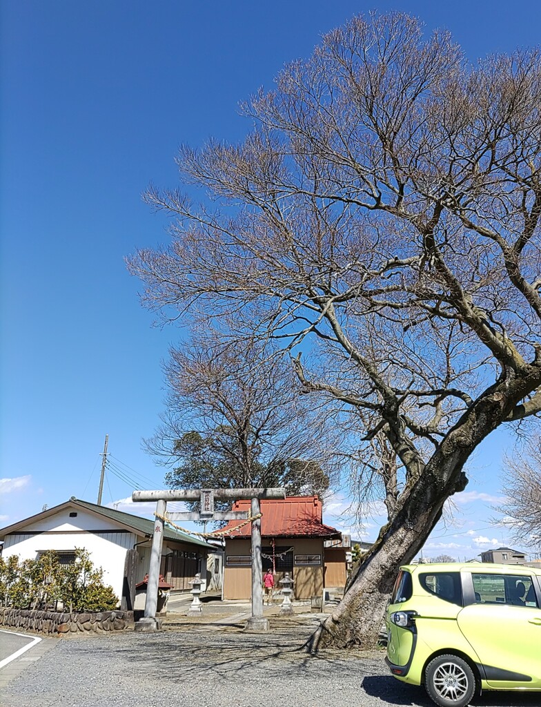 [諏訪神社]