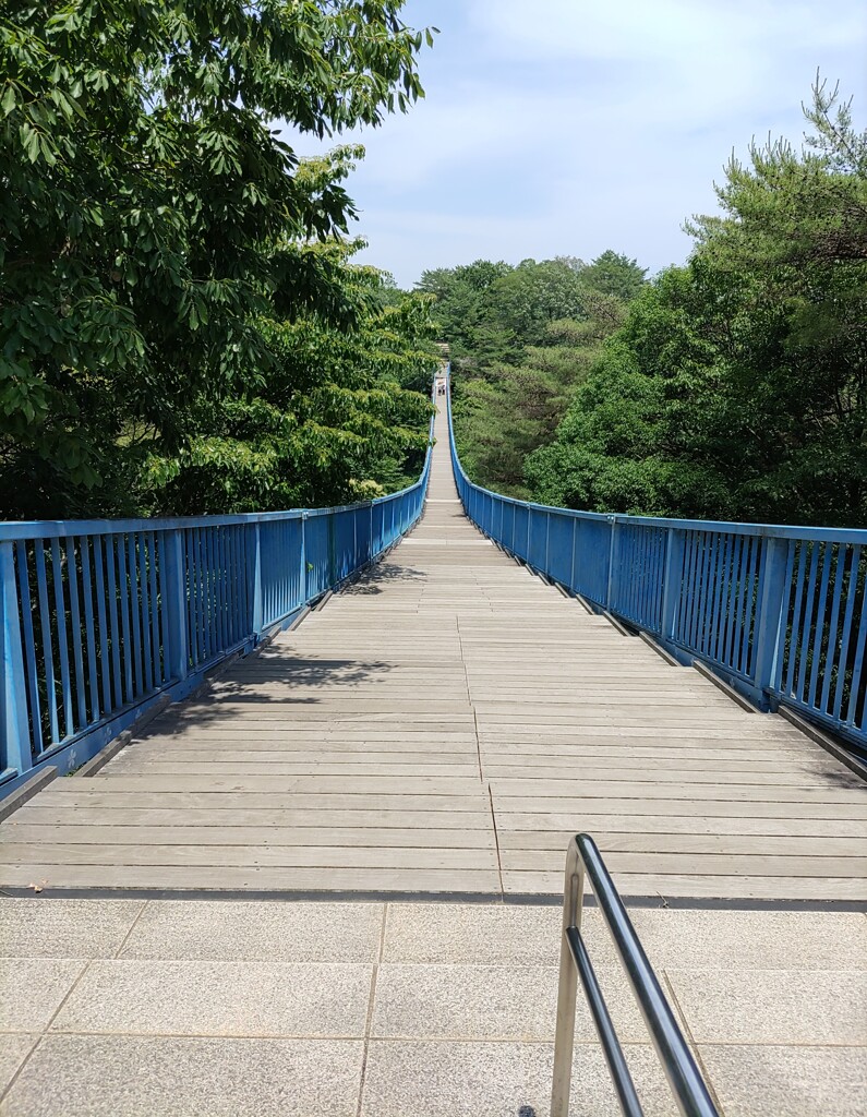 渡[吊橋]