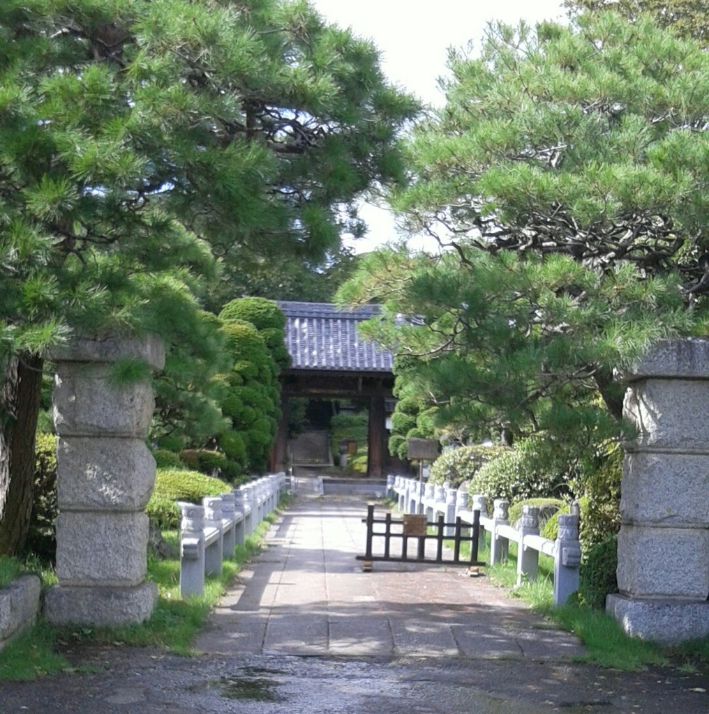 通[寺門]