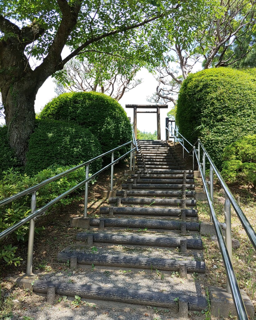 [展望台]