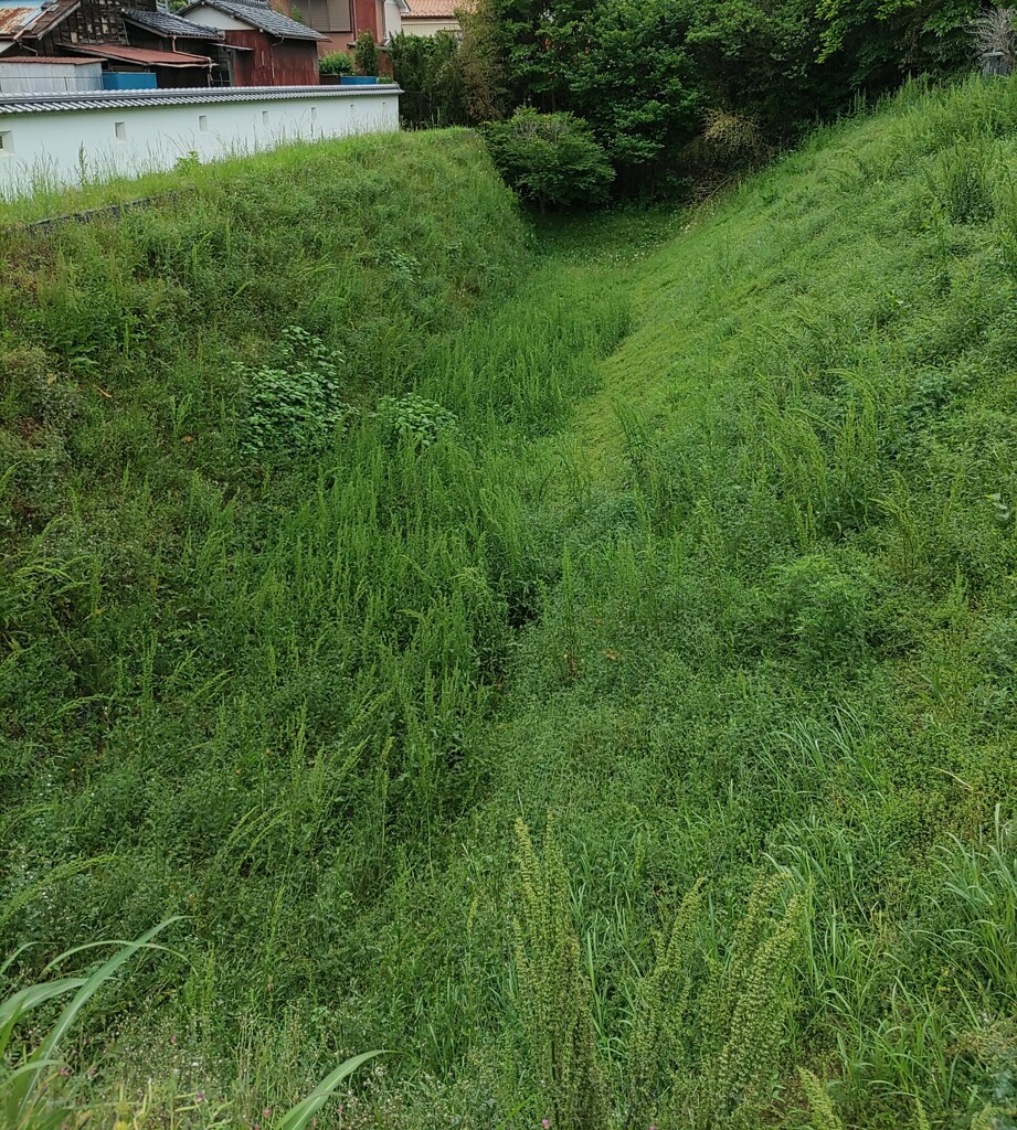 [城趾]