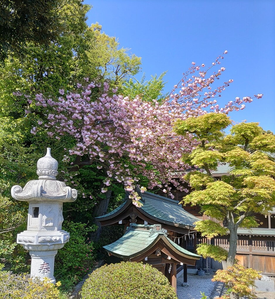 [神社]八幡