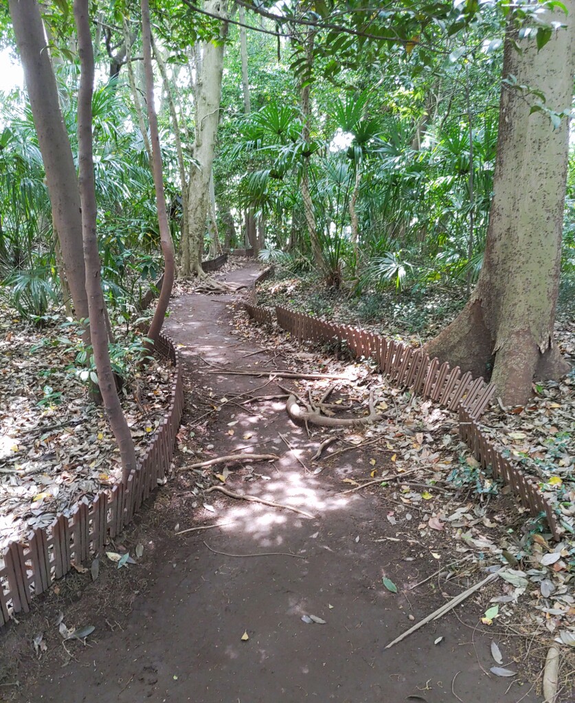 [径風景]