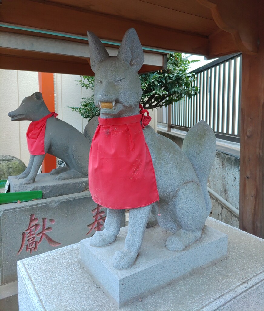 [神使]狐