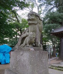 [狛犬]左