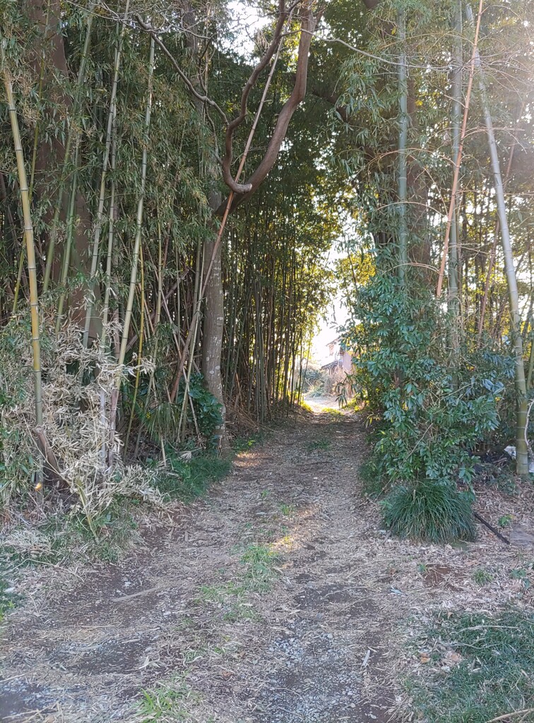 [径風景]