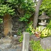 【ｵｳﾞｼﾞｪ】蛙