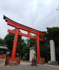 [鷲宮神社]
