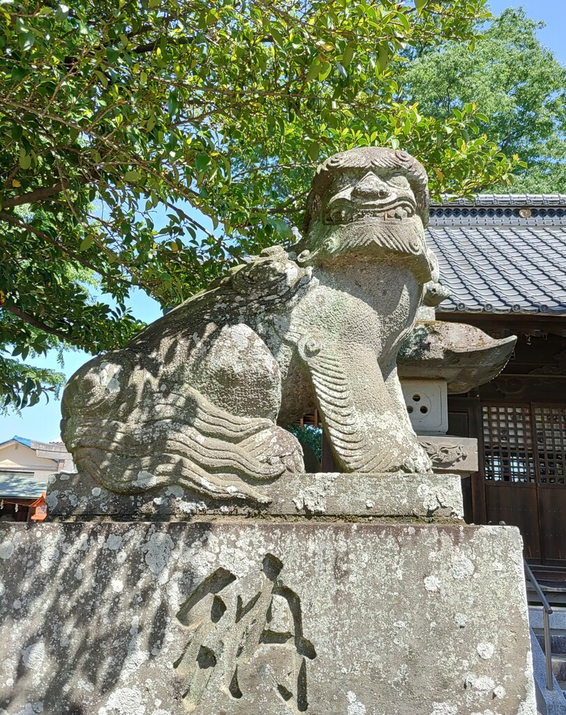 [狛犬]左